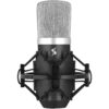 STAGG USB CONDENSER MIC