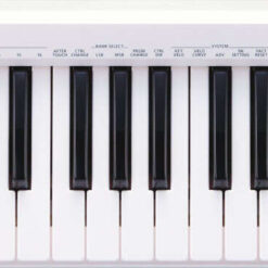 ROLAND A-49-WH