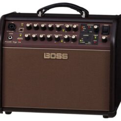BOSS ACOUSTIC SINGER LIVE