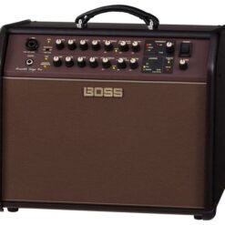 BOSS ACOUSTIC SINGER PRO