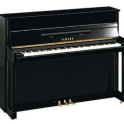 YAMAHA B2 PM
