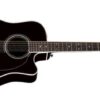 TAKAMINE EF381SC