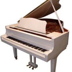 Silent Piano