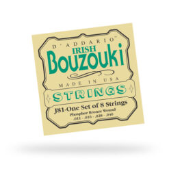 DADDARIO J81 IRISH BOUZOUKI SET
