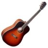 JAMES NELIGAN EZR-D ACOUSTIC GUITAR