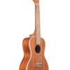 KALA MAHOGANY CONCERT UKULELE