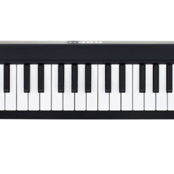 KORG MICROKEY 49 USB MIDI KEYBOARD
