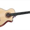 TAYLOR 312CE-N