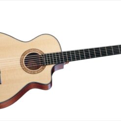 TAYLOR 312CE-N