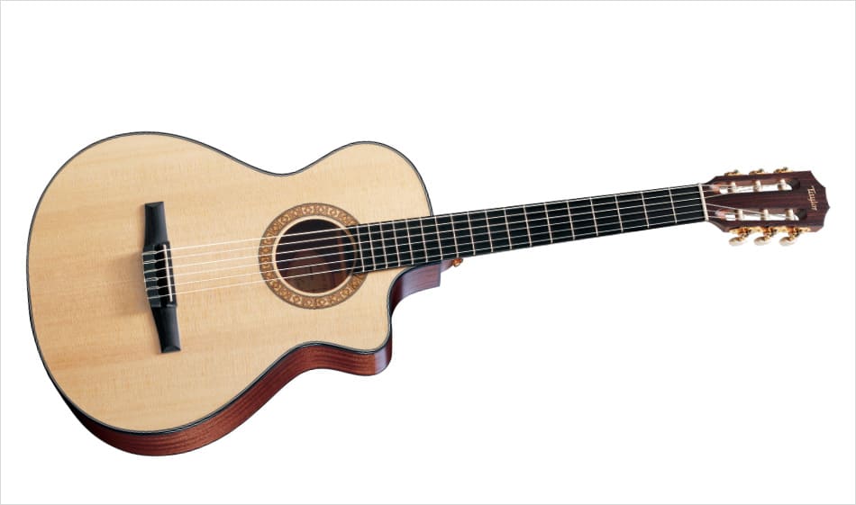 TAYLOR 312CE-N