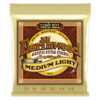 ERNIE BALL EARTHWOOD MEDIUM LIGHT 12-54