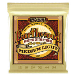 ERNIE BALL EARTHWOOD MEDIUM LIGHT 12-54