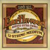 ERNIE BALL EARTHWOOD 12 STRING MEDIUM
