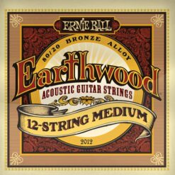 ERNIE BALL EARTHWOOD 12 STRING MEDIUM