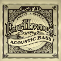 ERNIE BALL EARTHWOOD ACOUSTIC BASS SET