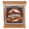 ERNIE BALL EARTHWOOD PHOSPHOR BRONZE ACOUSTIC 13-56