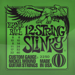 ERNIE BALL 12 STRING SLINKY ELECTRIC