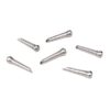 PLANET WAVES TITANIUM BRIDGE PIN SET