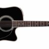 TAKAMINE EF341SC