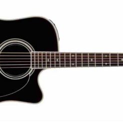 TAKAMINE EF341SC