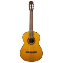 TAKAMINE GC1 NAT