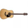 TAKAMINE GD10-NS