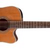 TAKAMINE GD20CE-NS