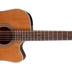 TAKAMINE GD20CE-NS