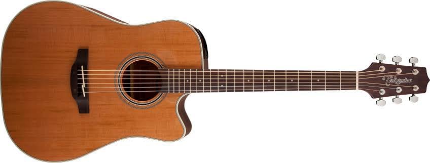 TAKAMINE GD20CE-NS