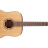 TAKAMINE GD20-NS