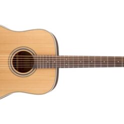 TAKAMINE GD20-NS