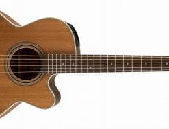 TAKAMINE GN20CE-NAT