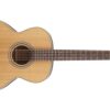 TAKAMINE GN20-NS