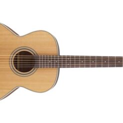 TAKAMINE GN20-NS