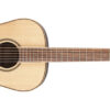 TAKAMINE GY93 NAT