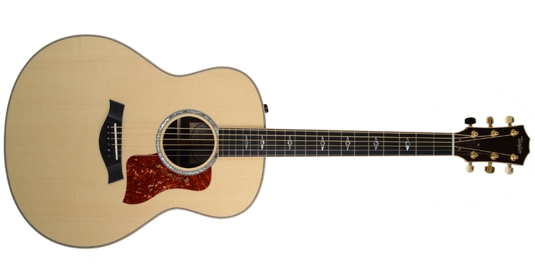 TAYLOR 818E