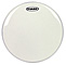 EVANS 10" GENERA RESONANT CLEAR