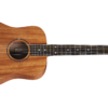 TAYLOR BABY TAYLOR MAHOGANY BT2
