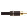 STAGG MALE RCA PLUG