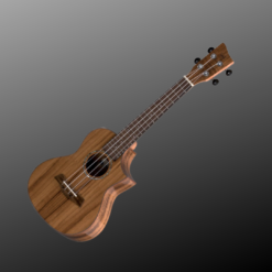 GEWA VGS CONCERT UKE S-CO-KN