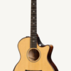 TAYLOR 614CE BUILDERS EDITION 2019