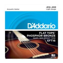 DADDARIO EFT 16