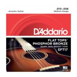DADDARIO EFT 17