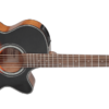 TAKAMINE GF30CEBSB