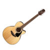 TAKAMINE GN30CE NATURAL