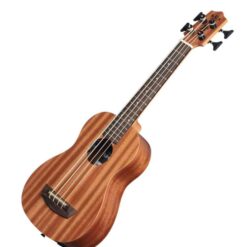 U-Bass Wanderer, Fretted, with Bag