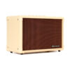 BLACKSTAR ACOUSTIC:CORE 30 COMBO AMP