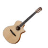 Taylor 414ce-N Grand Auditorium Nylon-String Acoustic-Electric Guitar
