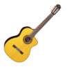 TAKAMINE GC5CE NATURAL