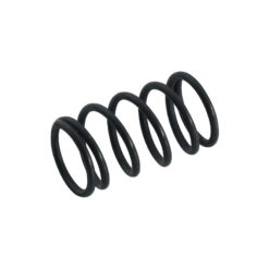 WARWICK BASS PICKUP SPRING